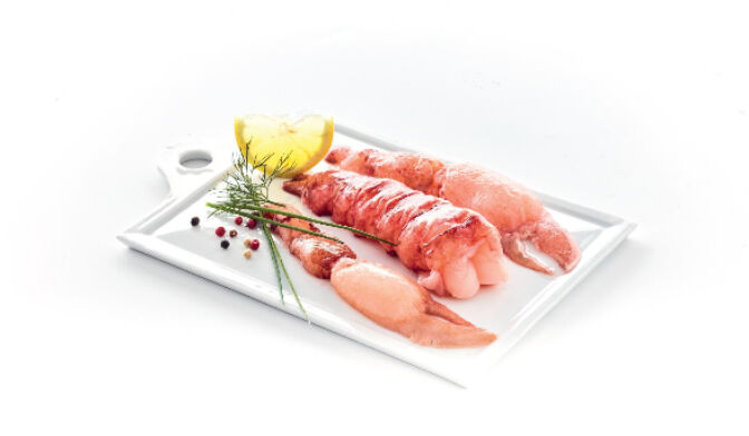 Homard cru décortiqué, Pêche française