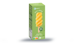 1 BATONNET ANANAS 66G