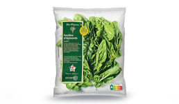 FEUILLES EPINARD S/RESIDU