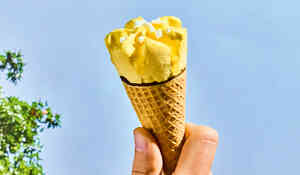 6 CONES CITRON