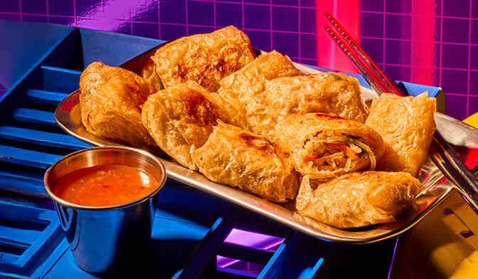 ROULEAUX DE PRINTEMPS POULET