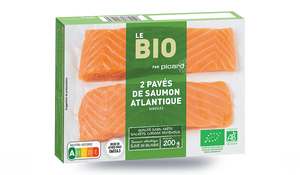 2 PAVES DE SAUMON ATL BIO