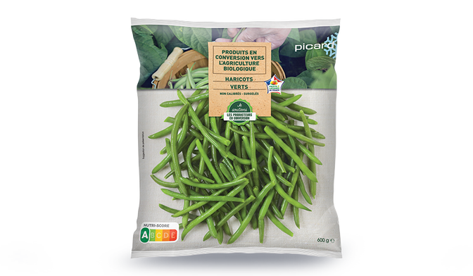 Haricots verts en conversion vers l'agriculture biologique