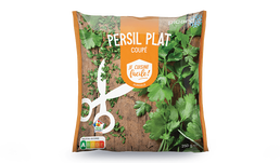 250G PERSIL COUPE (SAC)