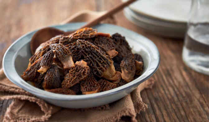 150G MORILLES