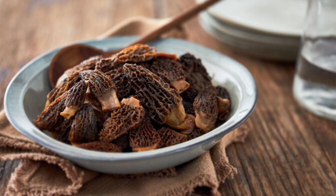 Morilles