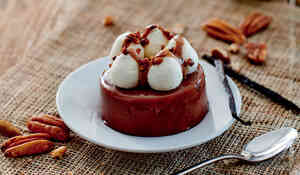 1 ENTREMETS VAN PECAN 85G