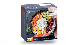 Salad bowl au saumon