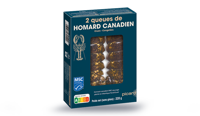 2 queues de homard canadien crues MSC