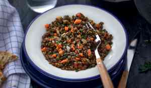 LENTILLES GRAISSE CANARD