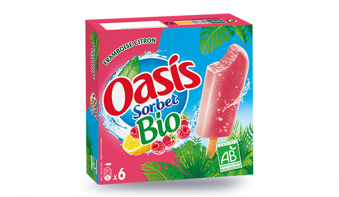 6 bâtonnets Oasis sorbet bio