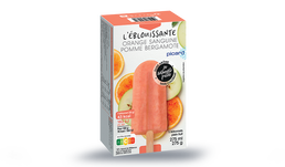 5 BATONNETS POMME ORANGE