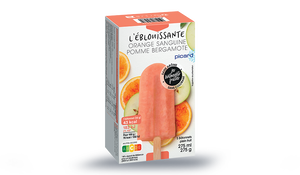 5 BATONNETS POMME ORANGE