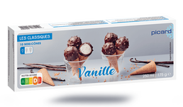 10 MINI CONES VANILLE