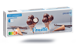 10 MINI CONES VANILLE 10 MINI CONES VANILLE