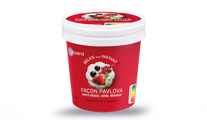 1 POT FACON PAVLOVA 89G