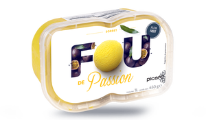 SORBET PASSION 650G