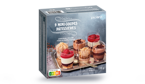 9 MINI-COUPES PATISSIERES 310G