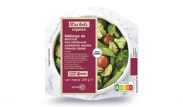 BOL VAPEUR COURGET/TOMATE