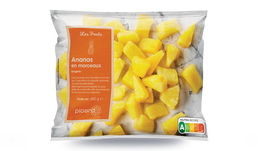 600G ANANAS MORCEAUX
