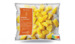 600G ANANAS MORCEAUX 600G ANANAS MORCEAUX