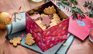 NEW BOITE A BISCUITS