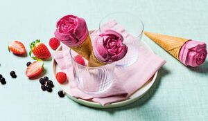 Cones Glaces Cones Glaces Et Sorbets Picard Cones Glaces Cones Glaces Et Sorbets Picard