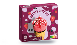 6 CONES FRUIT ROUGE 508G