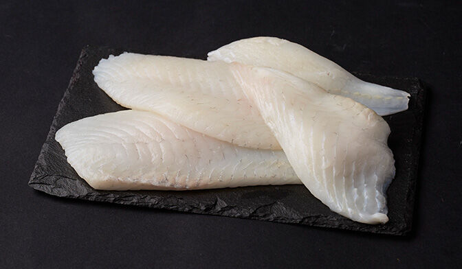 Filets de turbot
