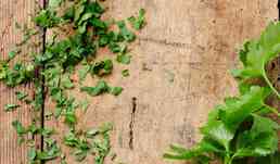 50G PERSIL PLAT COUPE