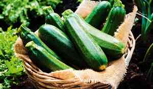 COURGETTE BIO LOCAL S-O