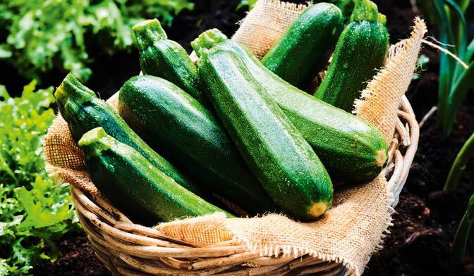 Les bienfaits de la courgette - Gamm vert