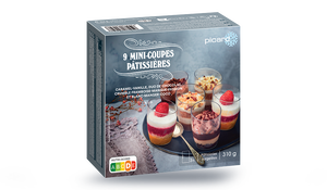 9 MINI-COUPES PATISS 310G