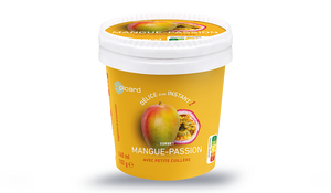 1 POT MANGUE PASSION 102G