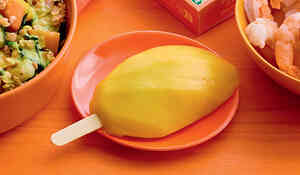 1 BATONNET MANGUE 66G