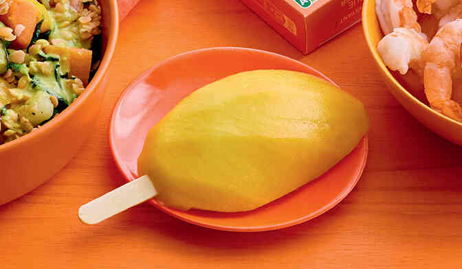 1 BATONNET MANGUE 66G