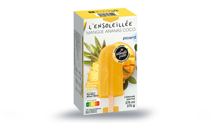 5 BATONNETS MANGUE ANANAS