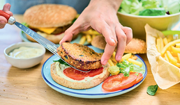 2 GALETTES VEGETALES