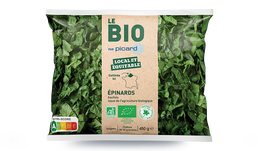 EPINARD HACHE BIOFE NORD