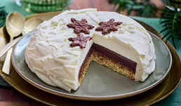 MAGIE DE L'HIVER 570G