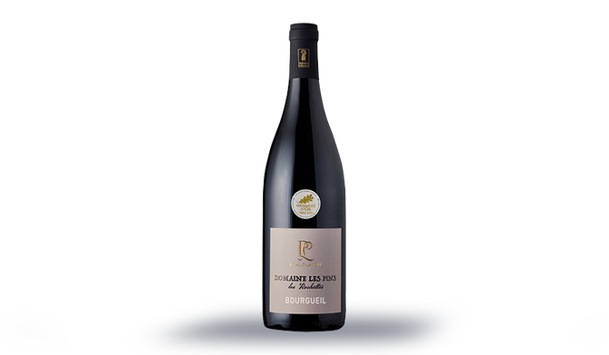 AOP Bourgeuil Domaine Les Pins
