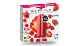 5 BAT FRAISE/FRAMBOISE