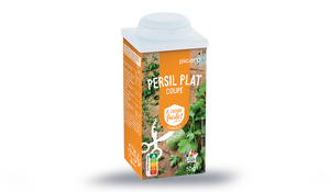 Persil plat coupé