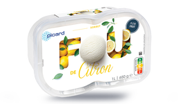 SORBET CITRON 650G