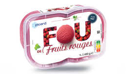 SORBET FRUITS ROUGES 650G