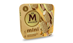 6 Mini Magnum Double Gold Caramel Billionaire