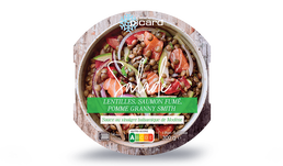 SALADE LENTILLE SAUMON