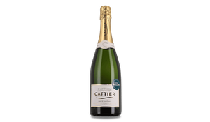AOP CHAMPAGNE CATTIER