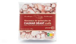 MORCEAUX CALMAR GEANT