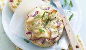 Tartine de bagel poulet, oignon rouge et edam